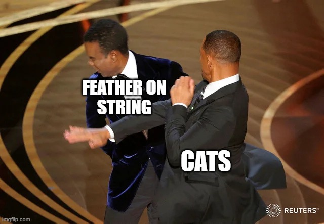 Fact | FEATHER ON
STRING; CATS | image tagged in will smith punching chris rock,cats,memes | made w/ Imgflip meme maker