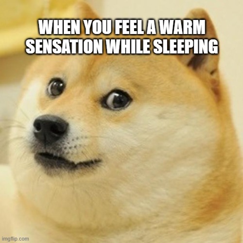 HUH?!? | WHEN YOU FEEL A WARM SENSATION WHILE SLEEPING | image tagged in memes,doge | made w/ Imgflip meme maker