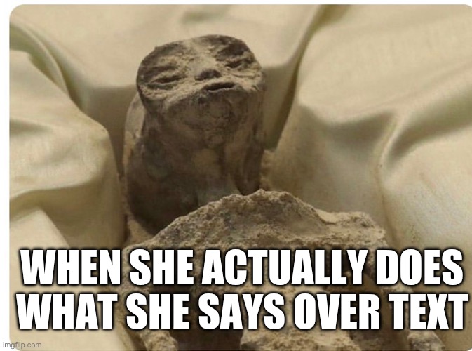 Orange dimple | WHEN SHE ACTUALLY DOES WHAT SHE SAYS OVER TEXT | image tagged in funny memes | made w/ Imgflip meme maker