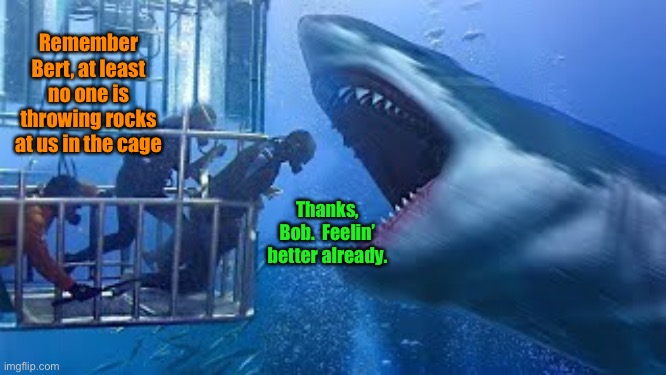 He’s not wrong, but that doesn’t make him right. | Remember Bert, at least no one is throwing rocks at us in the cage; Thanks, Bob.  Feelin’ better already. | image tagged in shark cage,no rocks thrown | made w/ Imgflip meme maker
