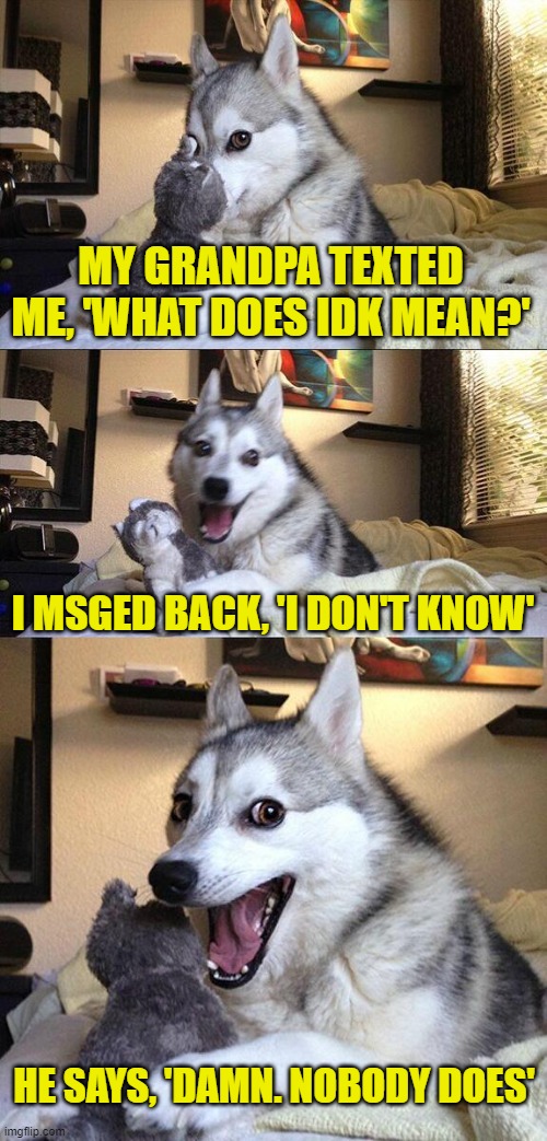 I.T. Dog | MY GRANDPA TEXTED ME, 'WHAT DOES IDK MEAN?'; I MSGED BACK, 'I DON'T KNOW'; HE SAYS, 'DAMN. NOBODY DOES' | image tagged in memes,bad pun dog | made w/ Imgflip meme maker
