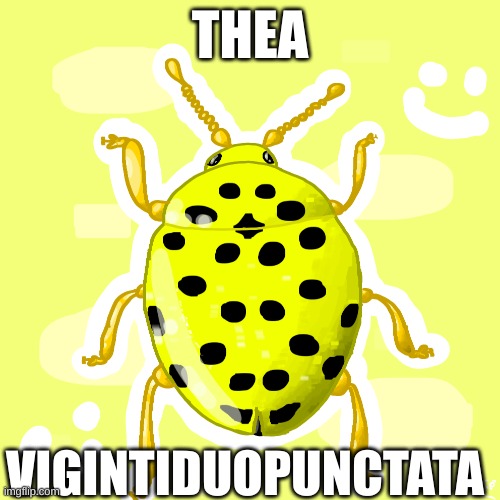 BOTD pt. 3: Thea Vigintiduopunctata | THEA; VIGINTIDUOPUNCTATA | image tagged in insect,yay,art | made w/ Imgflip meme maker