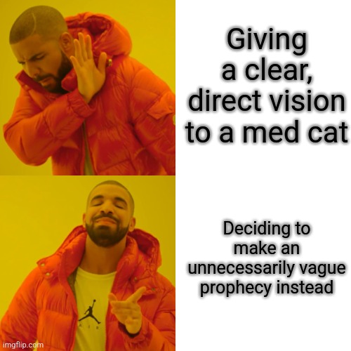 StarClan | Giving a clear, direct vision to a med cat; Deciding to make an unnecessarily vague prophecy instead | image tagged in memes,drake hotline bling,warrior cats | made w/ Imgflip meme maker