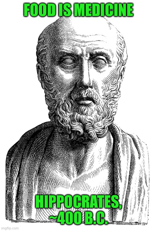 Hippocrates | FOOD IS MEDICINE HIPPOCRATES, ~400 B.C. | image tagged in hippocrates | made w/ Imgflip meme maker