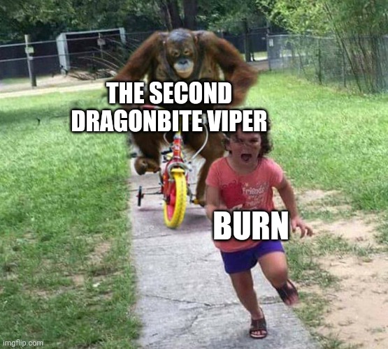 Burn meme | THE SECOND DRAGONBITE VIPER; BURN | image tagged in run,dragonz | made w/ Imgflip meme maker