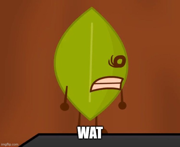 BFDI "Wat" Face | WAT | image tagged in bfdi wat face | made w/ Imgflip meme maker