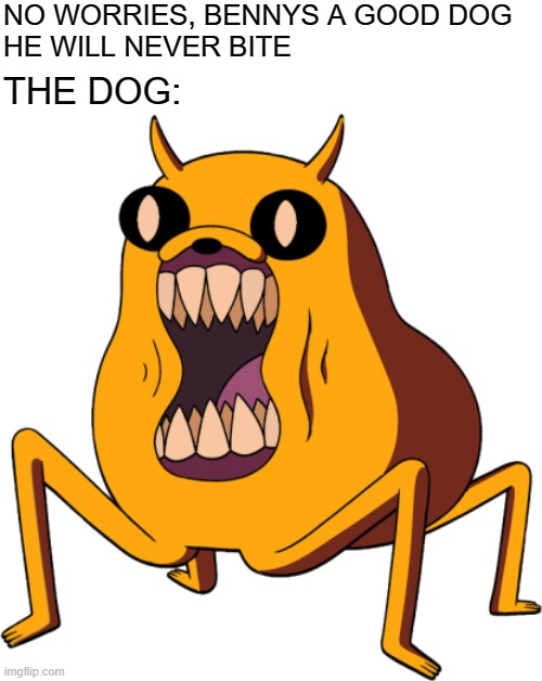 Good Boy | NO WORRIES, BENNYS A GOOD DOG
HE WILL NEVER BITE; THE DOG: | image tagged in dog,doggo,adventure time,memes | made w/ Imgflip meme maker