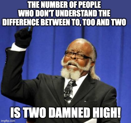 Grammar | THE NUMBER OF PEOPLE WHO DON'T UNDERSTAND THE DIFFERENCE BETWEEN TO, TOO AND TWO; IS TWO DAMNED HIGH! | image tagged in memes,too damn high | made w/ Imgflip meme maker
