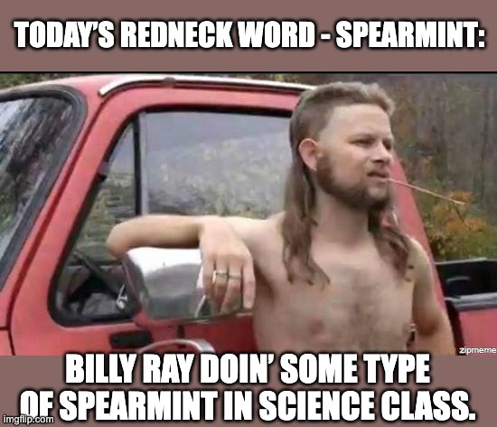 Spearmint | TODAY’S REDNECK WORD - SPEARMINT:; BILLY RAY DOIN’ SOME TYPE OF SPEARMINT IN SCIENCE CLASS. | image tagged in almost politically correct redneck | made w/ Imgflip meme maker