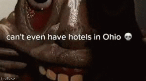 Bra ohioen | image tagged in gifs | made w/ Imgflip images-to-gif maker