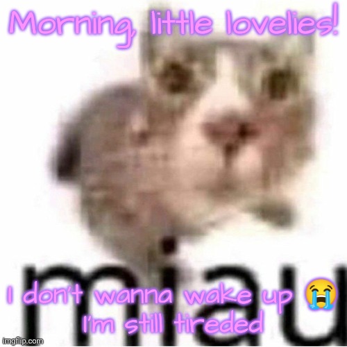 miau | Morning, little lovelies! I don't wanna wake up 😭
I'm still tireded | image tagged in miau,lovelies | made w/ Imgflip meme maker