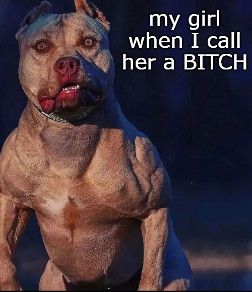 I am in danger | my girl when I call her a BITCH | image tagged in be a lady | made w/ Imgflip meme maker