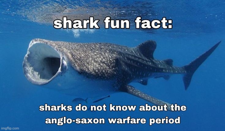 Shark fact number 2 | made w/ Imgflip meme maker