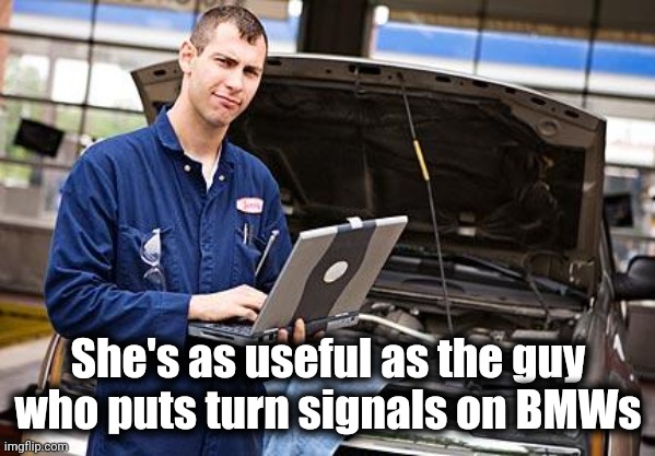 Internet Mechanic | She's as useful as the guy who puts turn signals on BMWs | image tagged in internet mechanic | made w/ Imgflip meme maker