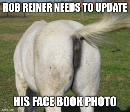 Horse's ass | ROB REINER NEEDS TO UPDATE HIS FACE BOOK PHOTO | image tagged in horse's ass | made w/ Imgflip meme maker