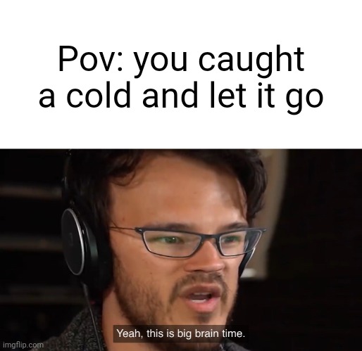 Yeah, this is big brain time | Pov: you caught a cold and let it go | image tagged in yeah this is big brain time | made w/ Imgflip meme maker