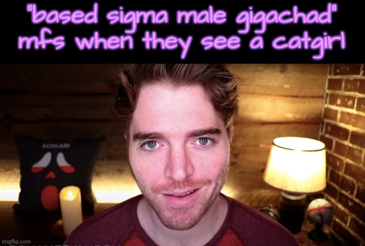 Not about the smirk | "based sigma male gigachad" mfs when they see a catgirl | image tagged in shane dawson smirk | made w/ Imgflip meme maker