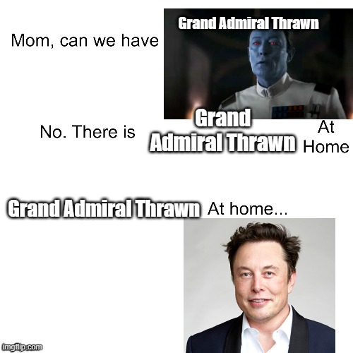 Grand Admiral Thrawn at home | Grand Admiral Thrawn; Grand Admiral Thrawn; Grand Admiral Thrawn | image tagged in mom can we have,thrawn,elon musk | made w/ Imgflip meme maker
