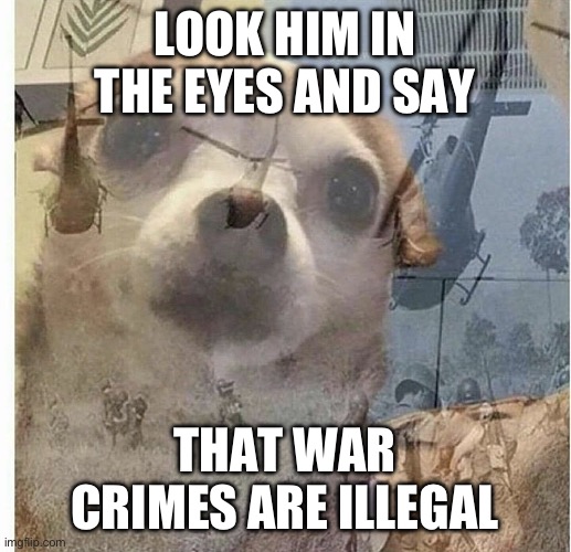 PTSD Chihuahua | LOOK HIM IN THE EYES AND SAY; THAT WAR CRIMES ARE ILLEGAL | image tagged in ptsd chihuahua | made w/ Imgflip meme maker