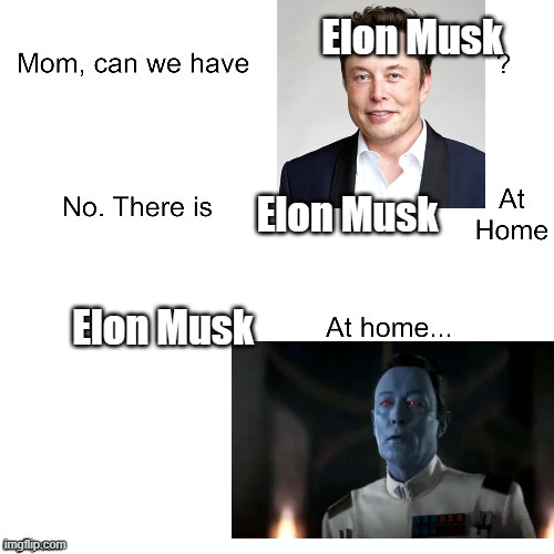 Elon Musk at home | Elon Musk; Elon Musk; Elon Musk | image tagged in mom can we have | made w/ Imgflip meme maker