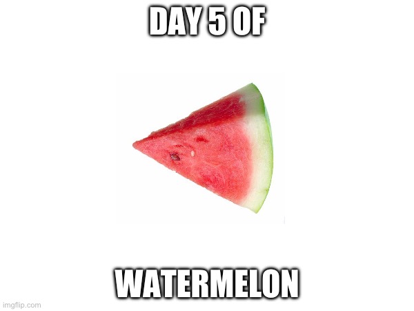 :))) | DAY 5 OF; WATERMELON | image tagged in watermelon | made w/ Imgflip meme maker