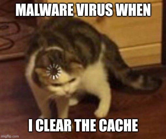 There was a virus on my phone so I cleared the cache and now the Malware virus is gone | MALWARE VIRUS WHEN; I CLEAR THE CACHE | image tagged in loading cat | made w/ Imgflip meme maker