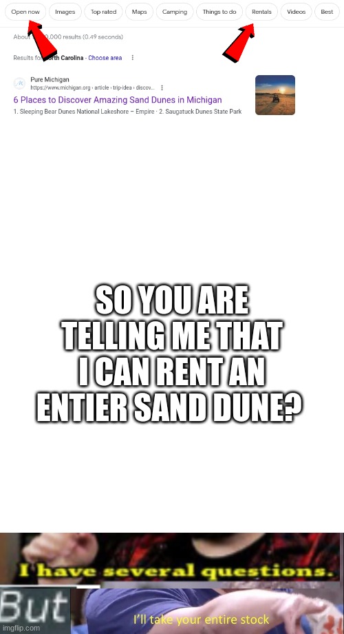 meme #100# | SO YOU ARE TELLING ME THAT I CAN RENT AN ENTIER SAND DUNE? | image tagged in blank white template | made w/ Imgflip meme maker