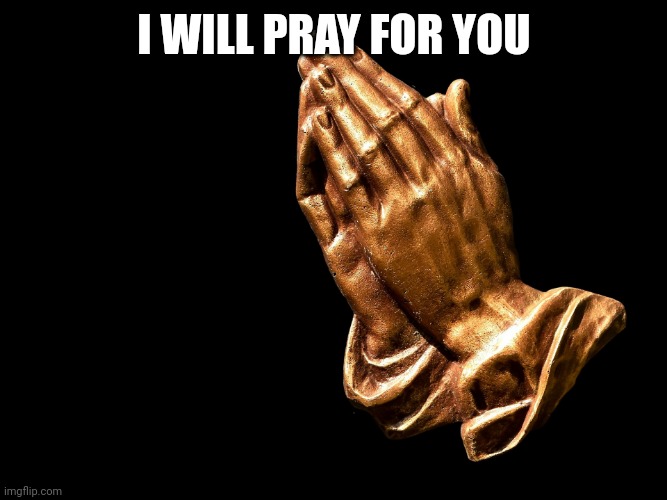 Praying hands | I WILL PRAY FOR YOU | image tagged in praying hands | made w/ Imgflip meme maker