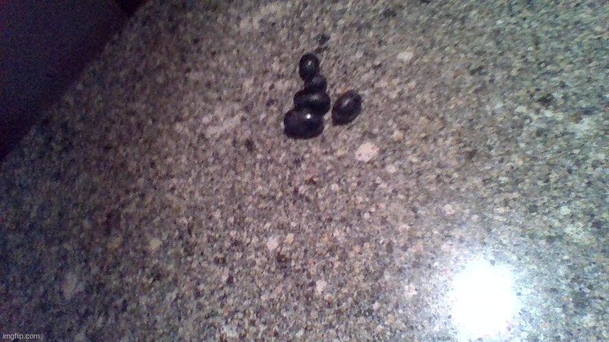 five unwashed grapes on the counter (prequel to five grapes in a bowl) | made w/ Imgflip meme maker