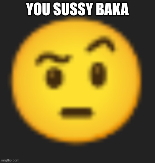 Eyebrow raise | YOU SUSSY BAKA | image tagged in eyebrow raise | made w/ Imgflip meme maker