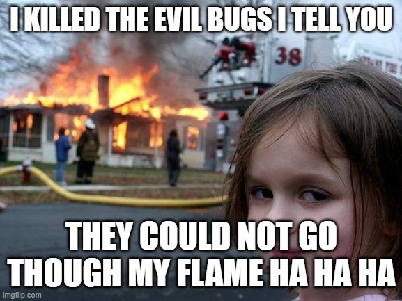 Disaster Girl Meme | I KILLED THE EVIL BUGS I TELL YOU; THEY COULD NOT GO THOUGH MY FLAME HA HA HA | image tagged in memes,disaster girl | made w/ Imgflip meme maker