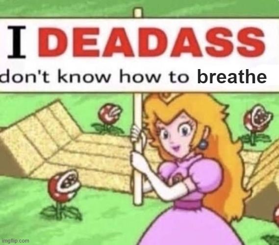 i deadass dont know how to respond | breathe | image tagged in i deadass dont know how to respond | made w/ Imgflip meme maker