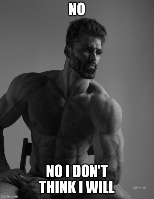 Giga Chad | NO NO I DON'T THINK I WILL | image tagged in giga chad | made w/ Imgflip meme maker