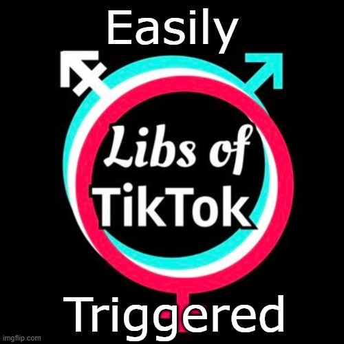 Triggered | Easily; Triggered | image tagged in memes | made w/ Imgflip meme maker