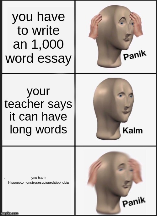 the irony... | you have to write an 1,000 word essay; your teacher says it can have long words; you have Hippopotomonstrosesquippedaliophobia | image tagged in memes,panik kalm panik | made w/ Imgflip meme maker