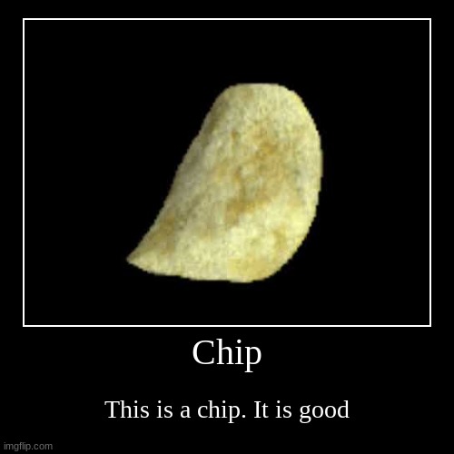 This is Chip. Chip yes good | Chip | This is a chip. It is good | image tagged in funny,demotivationals | made w/ Imgflip demotivational maker