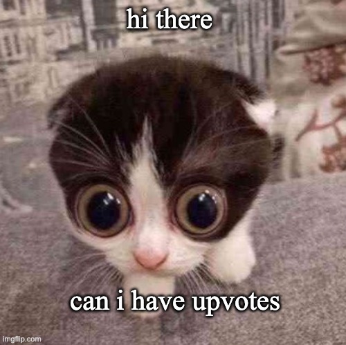 cat | hi there; can i have upvotes | image tagged in cat | made w/ Imgflip meme maker