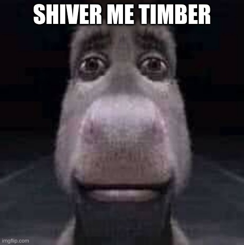 Donkey staring | SHIVER ME TIMBER | image tagged in donkey staring | made w/ Imgflip meme maker