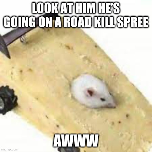 LOOK AT HIM HE’S GOING ON A ROAD KILL SPREE; AWWW | image tagged in funny | made w/ Imgflip meme maker