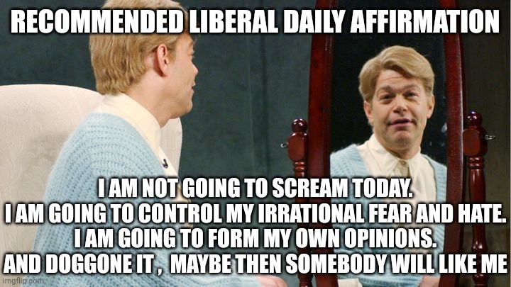 Stuart Smalley | RECOMMENDED LIBERAL DAILY AFFIRMATION I AM NOT GOING TO SCREAM TODAY.

I AM GOING TO CONTROL MY IRRATIONAL FEAR AND HATE.

I AM GOING TO FOR | image tagged in stuart smalley | made w/ Imgflip meme maker