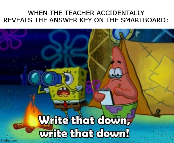 Happens all the time | WHEN THE TEACHER ACCIDENTALLY REVEALS THE ANSWER KEY ON THE SMARTBOARD: | image tagged in write that down | made w/ Imgflip meme maker