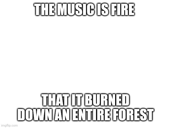 THE MUSIC IS FIRE; THAT IT BURNED DOWN AN ENTIRE FOREST | made w/ Imgflip meme maker