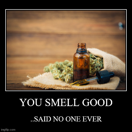 Weed | YOU SMELL GOOD | ..SAID NO ONE EVER | image tagged in funny,demotivationals | made w/ Imgflip demotivational maker