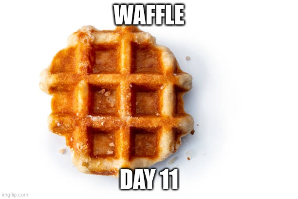 waffle day 11 | WAFFLE; DAY 11 | image tagged in waffles | made w/ Imgflip meme maker