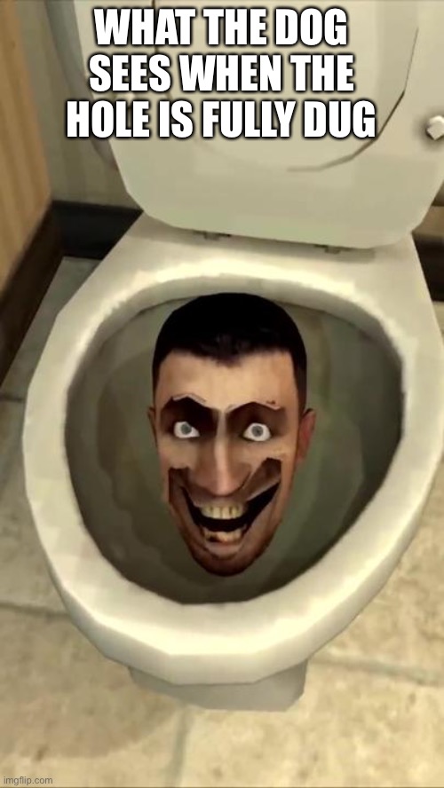 Skibidi toilet | WHAT THE DOG SEES WHEN THE HOLE IS FULLY DUG | image tagged in skibidi toilet | made w/ Imgflip meme maker