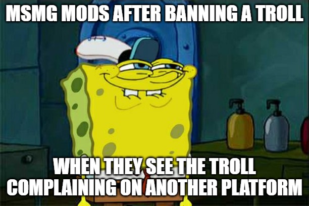 Don't You Squidward Meme | MSMG MODS AFTER BANNING A TROLL; WHEN THEY SEE THE TROLL COMPLAINING ON ANOTHER PLATFORM | image tagged in memes,don't you squidward | made w/ Imgflip meme maker