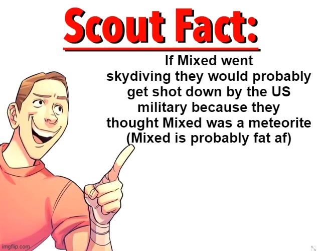 mixed is classified as a meteorite | If Mixed went skydiving they would probably get shot down by the US military because they thought Mixed was a meteorite (Mixed is probably fat af) | image tagged in scout fact | made w/ Imgflip meme maker