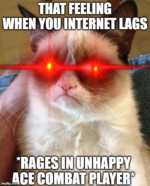 Grumpy Cat Meme | THAT FEELING WHEN YOU INTERNET LAGS; *RAGES IN UNHAPPY ACE COMBAT PLAYER* | image tagged in memes,grumpy cat | made w/ Imgflip meme maker