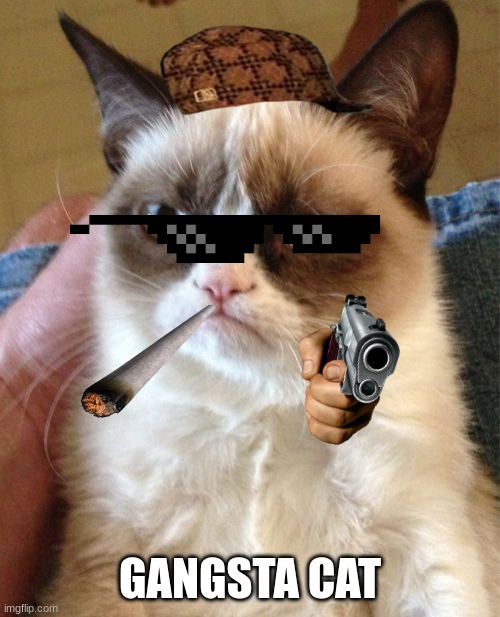 i'm bored | GANGSTA CAT | image tagged in memes,grumpy cat | made w/ Imgflip meme maker