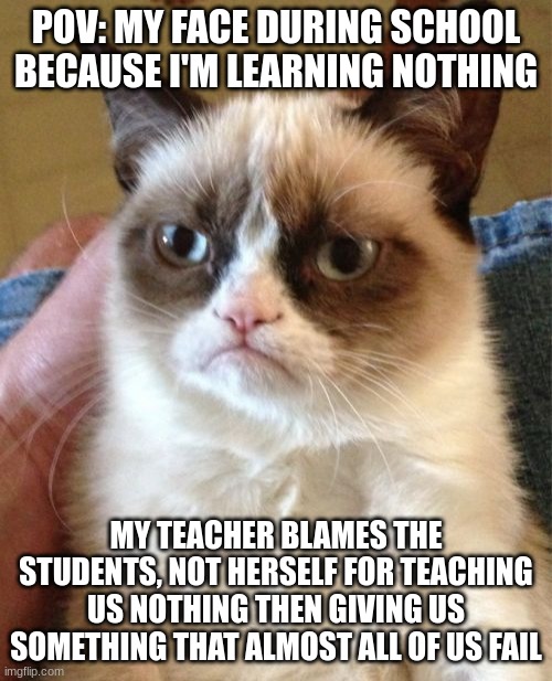 This is how all ppl in school feel | POV: MY FACE DURING SCHOOL BECAUSE I'M LEARNING NOTHING; MY TEACHER BLAMES THE STUDENTS, NOT HERSELF FOR TEACHING US NOTHING THEN GIVING US SOMETHING THAT ALMOST ALL OF US FAIL | image tagged in memes,grumpy cat | made w/ Imgflip meme maker